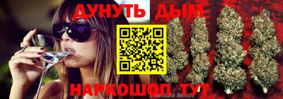 эйфоретик Жуковский