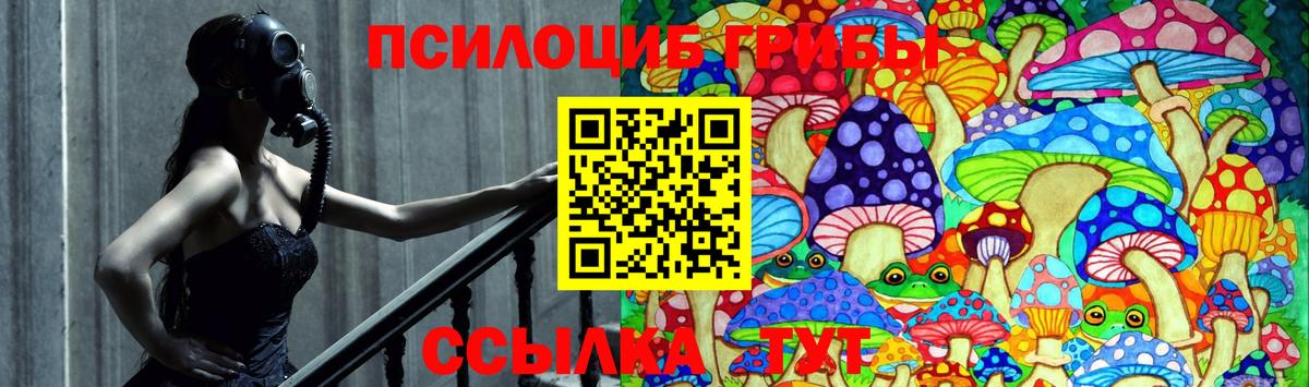 Заводоуковск  Псилоцибиновые грибы мухоморы  Вход с VPN  Псилоцибиновые грибы мицелий 